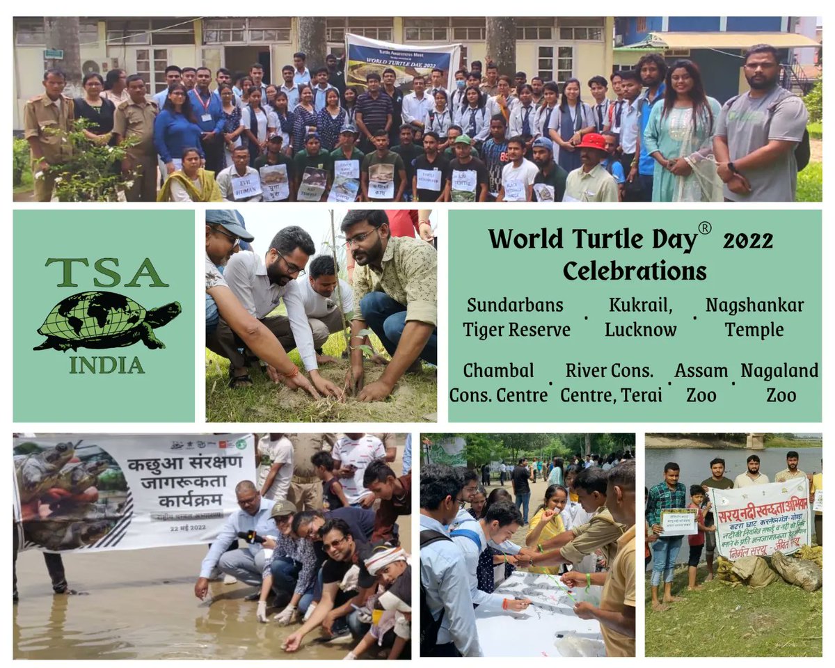 TSAINDIAPROG's tweet photo. #ActionsForTurtleConservation - Day 23
Celebrating the biggest #festival of turtle conservation- World Turtle Day- 23rd May, 2022!
Festivities come in many forms-
In the form of #gifts, like the inaugration of an educational kiosk at a school for #underprivileged; https://t.co/GHEQWi4yq7