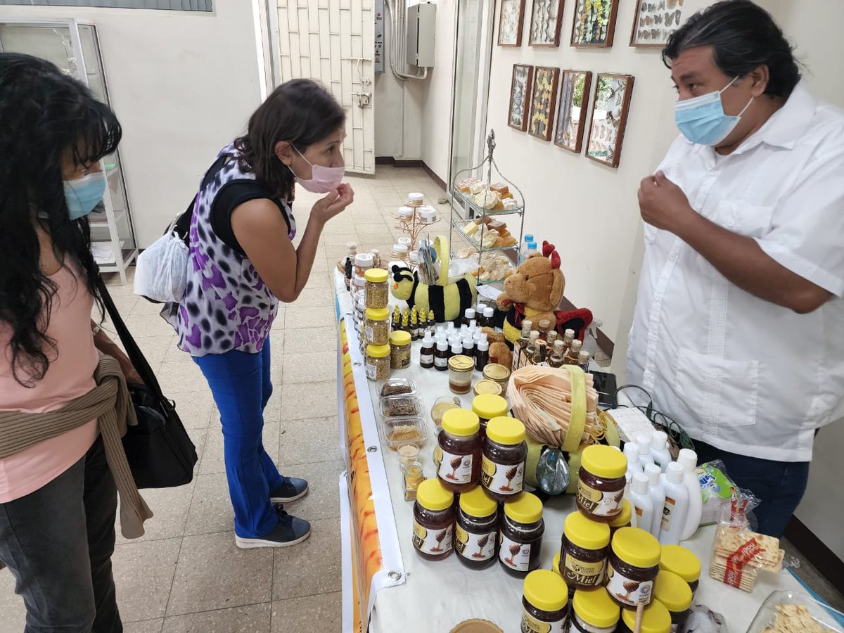 JuanElPerez68's tweet photo. Guayaquil| Emprendedores agropecuarios participan de la feria de productores rurales de la #AFC organizada por el Jardín Botánico y la Dirección Distrital Guayas. Chocolates, productos apícolas, vino, cocos, mermeladas y plantas ornamentales se comercializan de manera directa. https://t.co/w4B22jyQAy