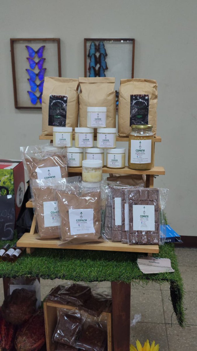 JuanElPerez68's tweet photo. Guayaquil| Emprendedores agropecuarios participan de la feria de productores rurales de la #AFC organizada por el Jardín Botánico y la Dirección Distrital Guayas. Chocolates, productos apícolas, vino, cocos, mermeladas y plantas ornamentales se comercializan de manera directa. https://t.co/w4B22jyQAy