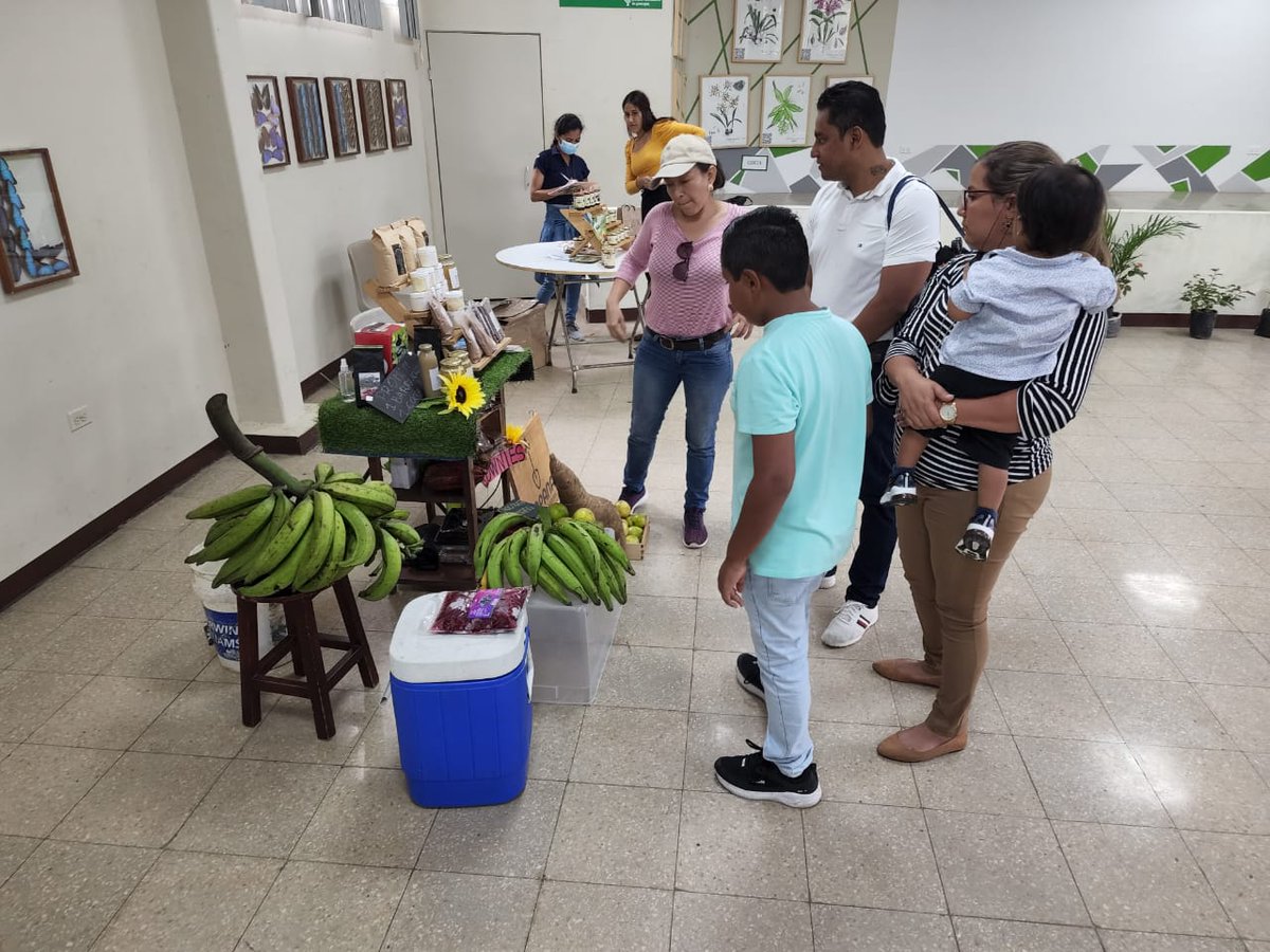 JuanElPerez68's tweet photo. Guayaquil| Emprendedores agropecuarios participan de la feria de productores rurales de la #AFC organizada por el Jardín Botánico y la Dirección Distrital Guayas. Chocolates, productos apícolas, vino, cocos, mermeladas y plantas ornamentales se comercializan de manera directa. https://t.co/w4B22jyQAy