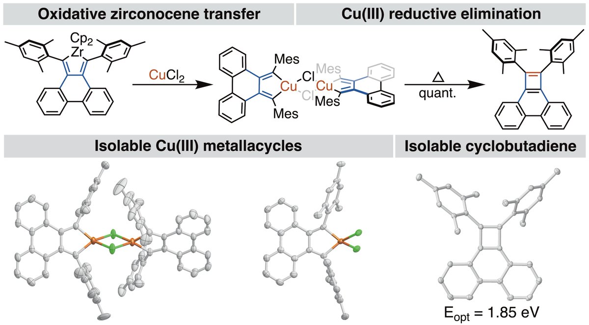 Harrison Bergman tweet media