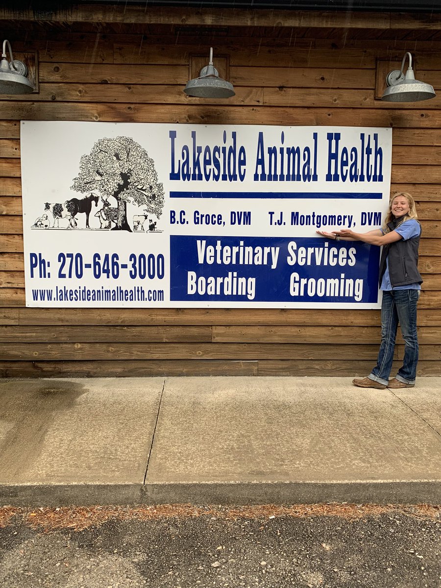 taylorjo20's tweet photo. Call me for all your animal needs (especially cows) https://t.co/k0McyPcrgk