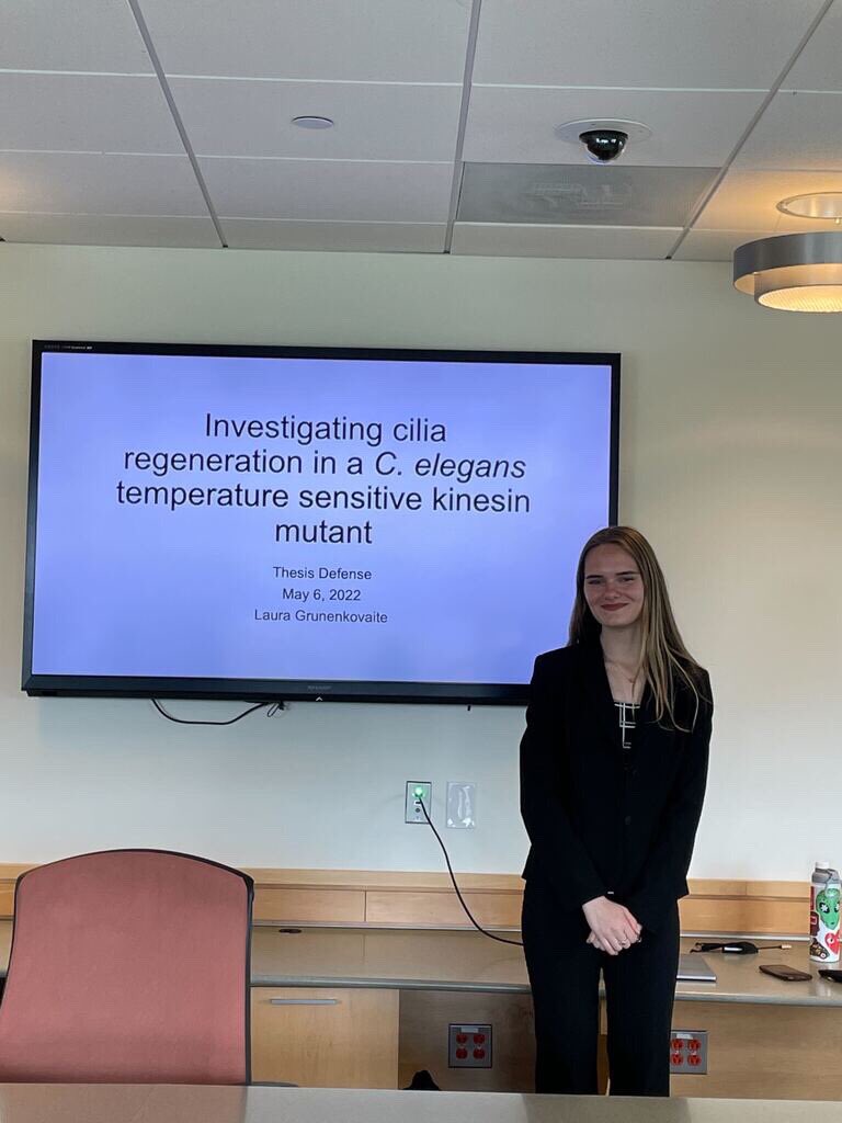 Alison Philbrook (@alison_marie1) on Twitter photo Yesterday the very talented Laura Grunenkovaite graduated Brandeis with the highest honors & as her mentor for the past 3 years I am very proud but sad to see her leave! She is off to work at my alma mater <a href="/UMassChan/">UMass Chan Medical School</a> before applying to med school! Huge future ahead of her! 🥳🥳 Yesterday the very talented Laura Grunenkovaite graduated Brandeis with the highest honors & as her mentor for the past 3 years I am very proud but sad to see her leave! She is off to work at my alma mater <a href="/UMassChan/">UMass Chan Medical School</a> before applying to med school! Huge future ahead of her! 🥳🥳