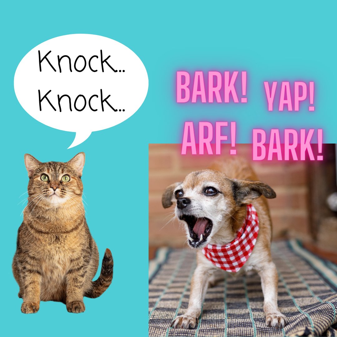 askdeerabby's tweet photo. We hope that your Monday is purrr-fect in every way! 🎉
#askdeerabby #childrenspodcast #happymonday #puns #familyfun #animalknowledge #podcast #podcasting https://t.co/97pnezcWha
