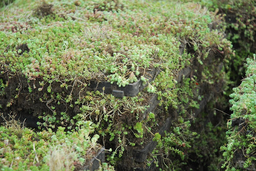 Part of being a good neighbor is taking care of the environment. Our #ecoraster range of products  are the eco-friendly permeable pavement systems that provide increased drainage and enhances water quality in your community right where you live, work, and play ♻️