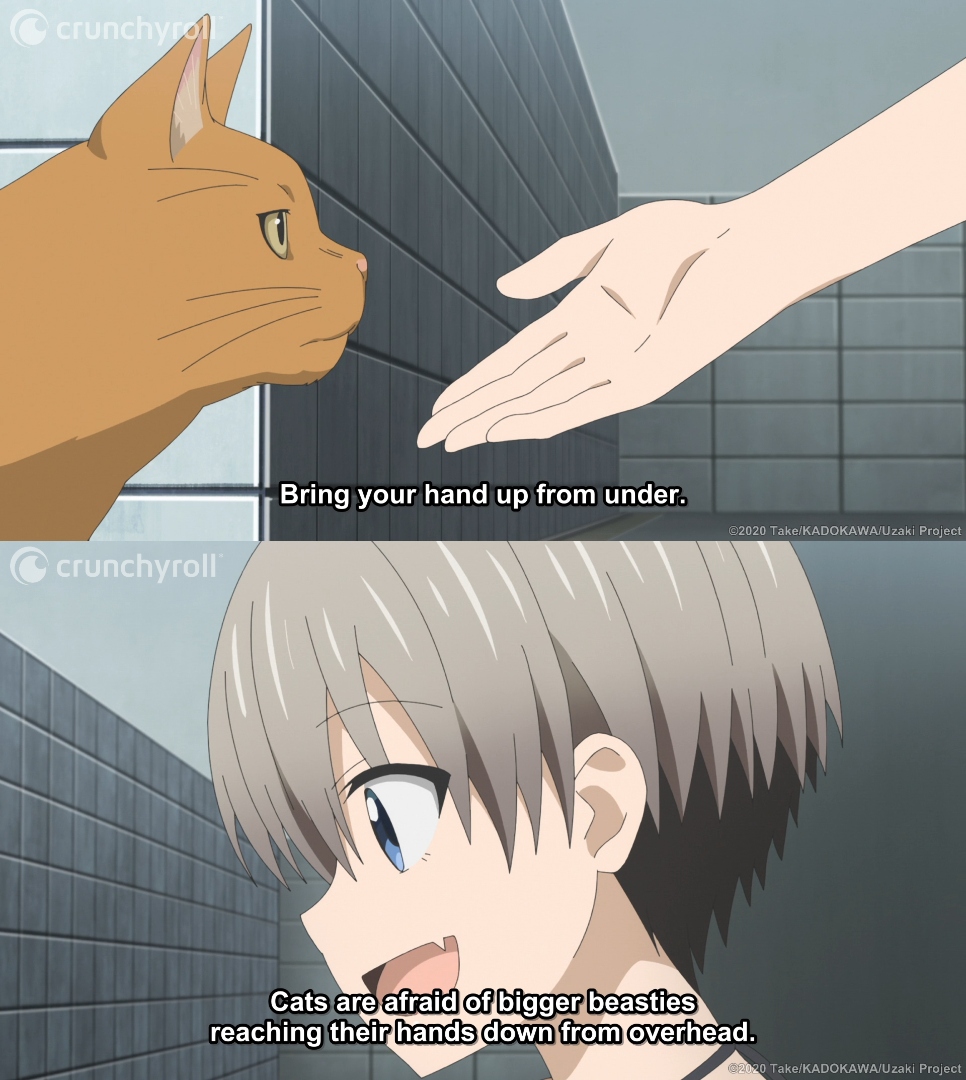 Uzaki-chan Wants to Hang Out! em português brasileiro - Crunchyroll