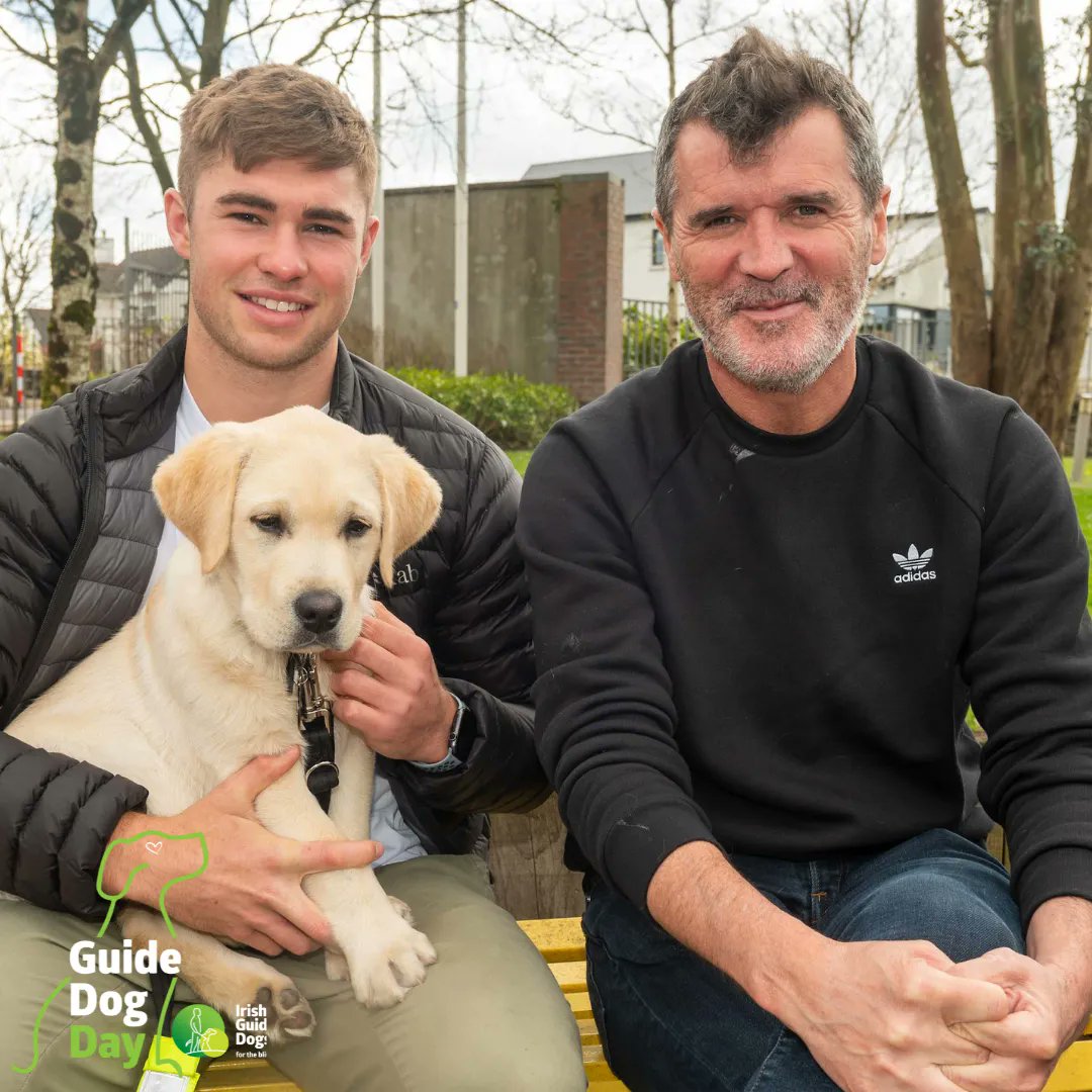 Guide Dog Day is nearly here! 💚 Join us around the country on Friday and help us raise funds to support our work #ChangingLives 

You can also help us by donating to our Guide Dog Day fund here: guidedogs.ie/ways-to-help/d…