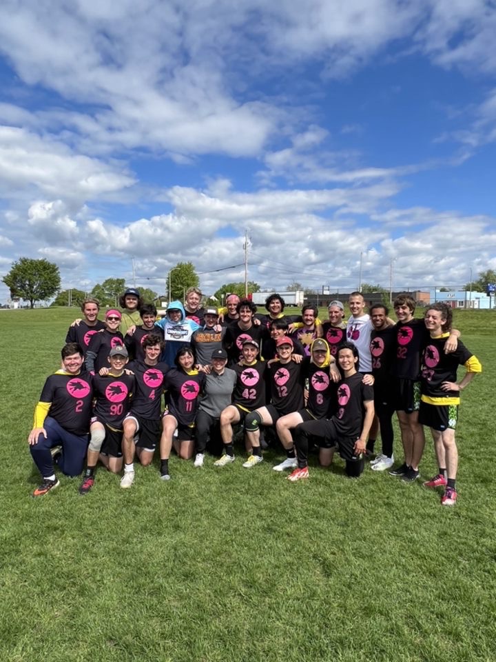 Flying Horsecows tweet media