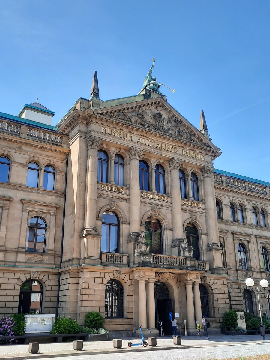 JR141520's tweet photo. Im Museum Alexander König in Bonn tagte 1948/49 der parlamentarische Rat, dessen Aufgabe es war, eine neue Verfassung für die Bundesrepublik Deutschland zu entwickeln. Das Grundgesetz trat heute vor 73 Jahren (23.05.1949) in Kraft.🇩🇪 https://t.co/fS16jbiszQ