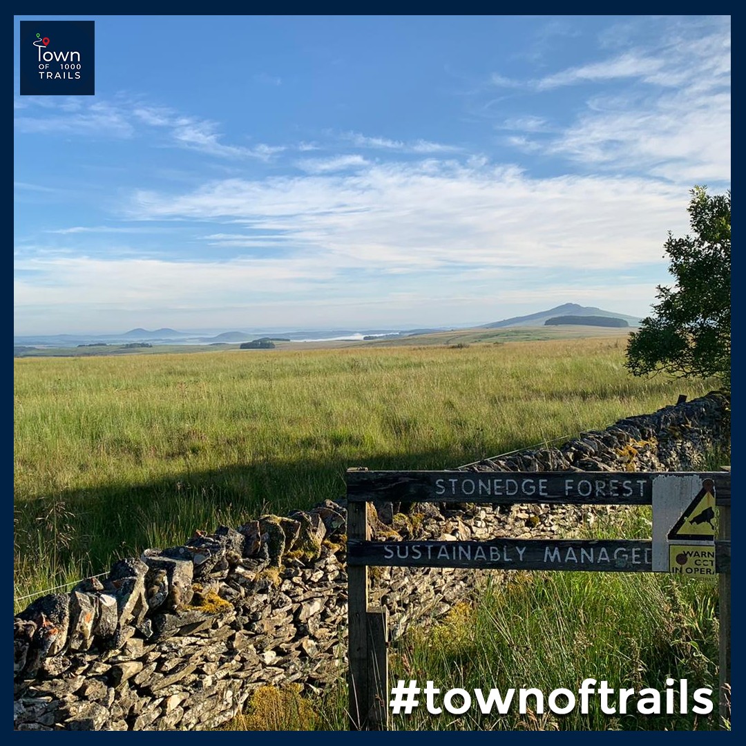 Discover the Stonedge Circular, which shows off Ruberslaw, the Minto Hills and Eildon Hills to the east, across to the Border with England 🖼️

Enjoy today: bit.ly/Stonedge_Walk

#townoftrails #newtrail #discovertoday