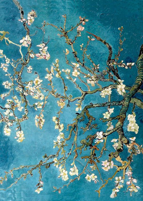 beIIefleur_'s tweet photo. Van Gogh’s flowers details. https://t.co/G5h9iQdlwa