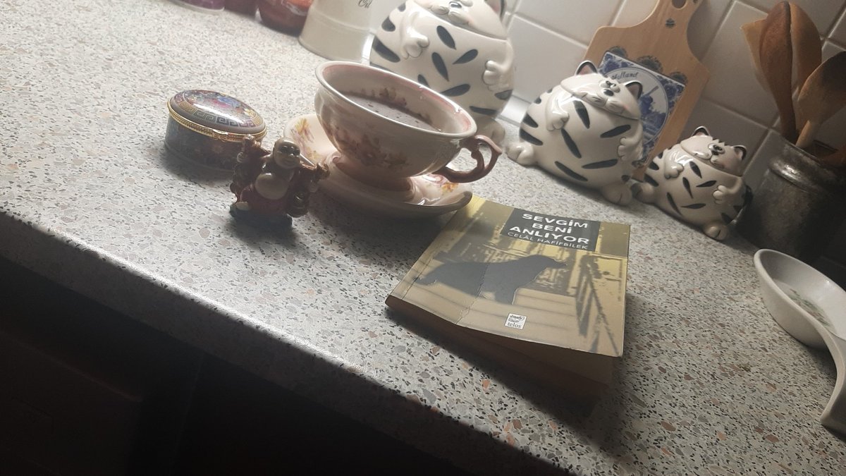 Her durakta bir sevgiyi tadıyor, her durakta bir sevginin hüznüyle kendimizi dönüyor, kendimizi arıyoruz en önemlisi de SEVGİM beni anlıyor 🥰🥰iyi uykular..