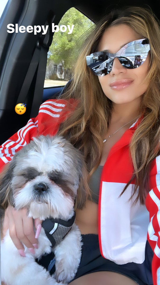talll__'s tweet photo. My best friend 🐶💜 https://t.co/MsZ1JSK7wG