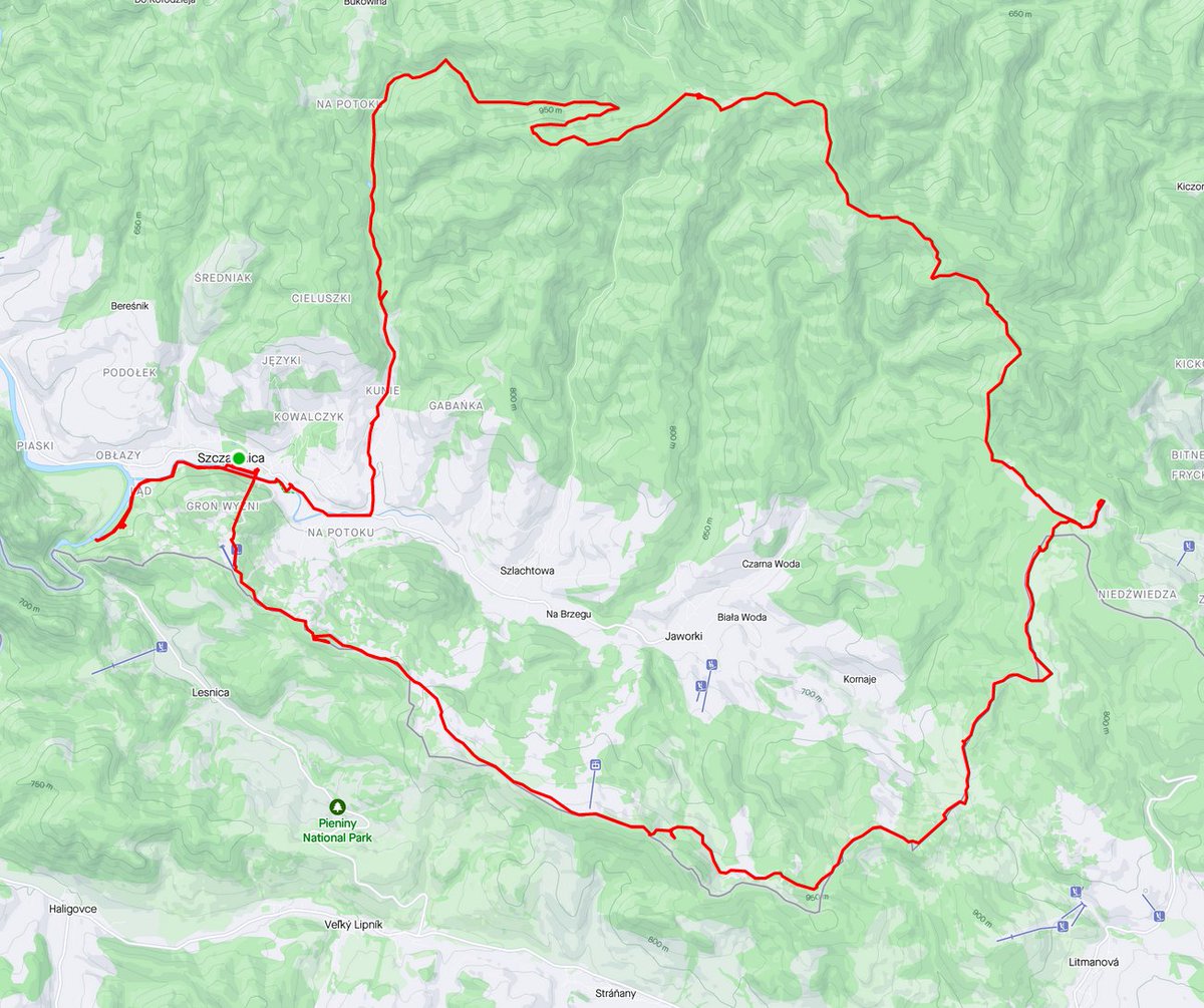 Esperanza 🇵🇱🇪🇺 tweet media