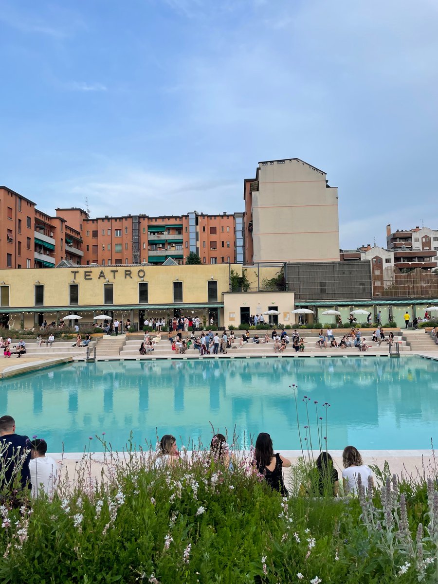 Laura Amodeo tweet media