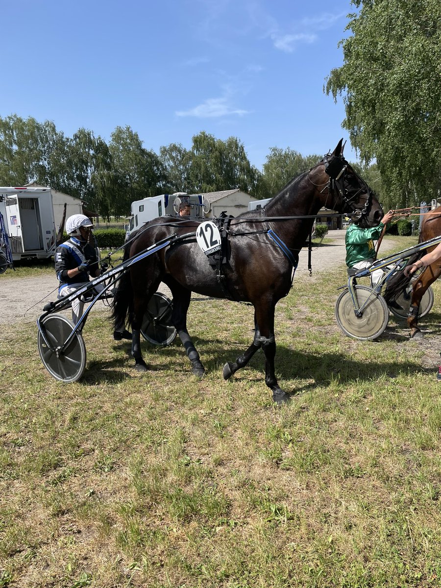 YppiqueTrot's tweet photo. @Lamiasignora @Al09Anders @StallCE @Revan50Eriksson 😜🤩 https://t.co/d17rHVTSdi