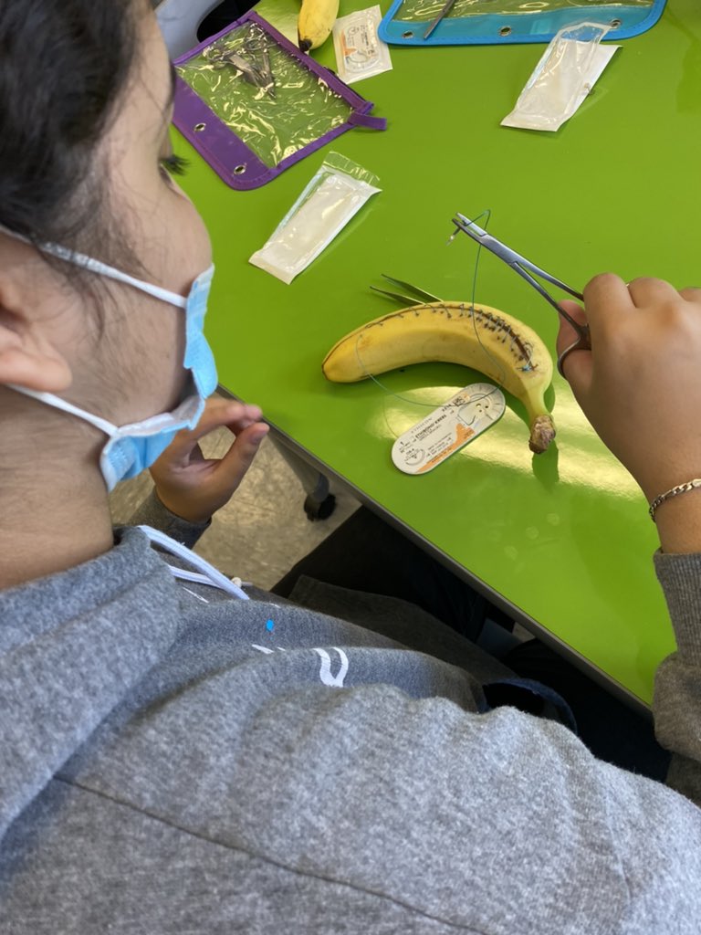 GortonPTECH's tweet photo. Thank you to Dr. Evans for taking time to meet with our PTECH students and teach them how to Suture! The students enjoyed it and learned a lot! #TheFutureIsBright #GortonStrong💪🏼 @RcollinsJudon @YonkersSchools https://t.co/8WcR9vT5wv