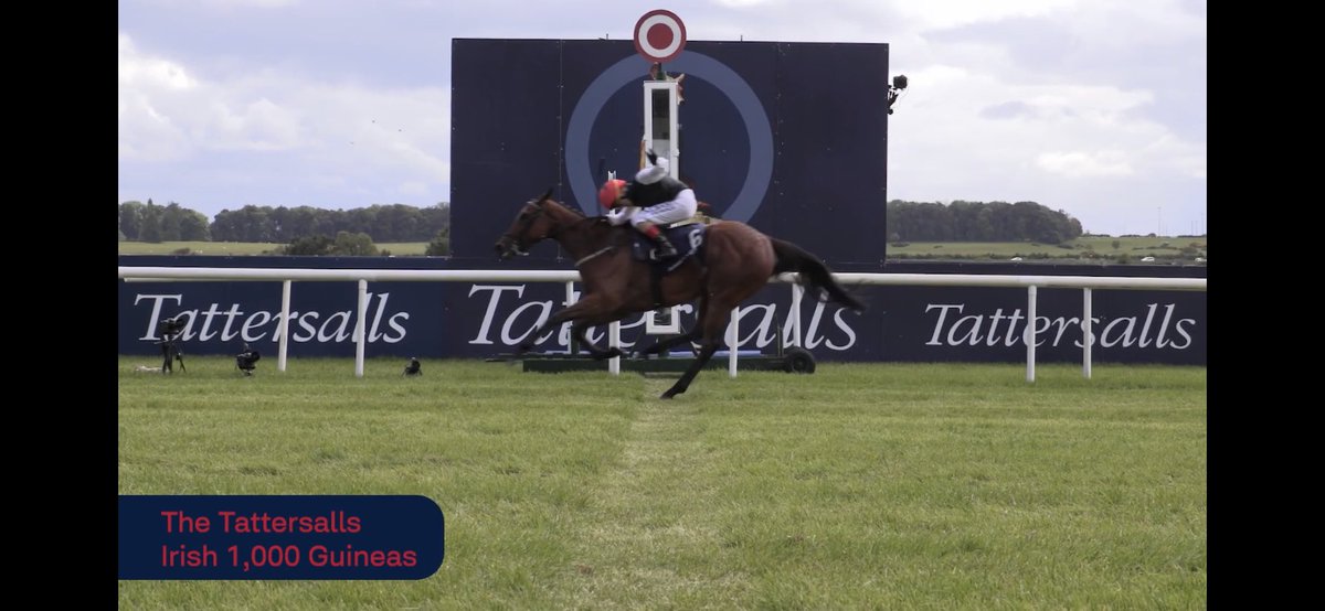 zaccwolff's tweet photo. Still can’t get over these shots from the Tattersalls races…check out the footage I got on our YouTube: https://t.co/vkoHmow7FT 🏇🏾 #duqmediaireland https://t.co/q6XaHWutCk