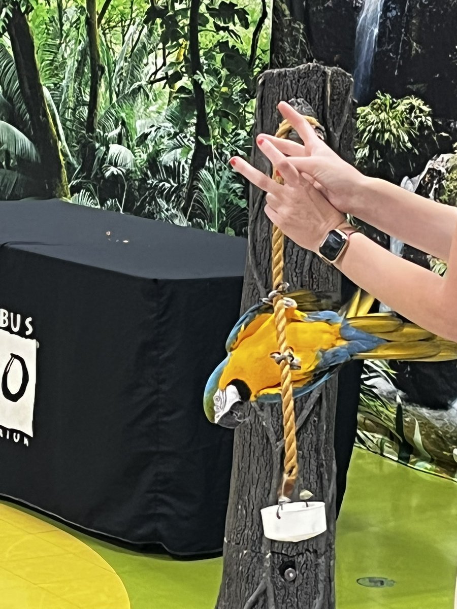 MadisonElem's tweet photo. Thank you @ColumbusZoo for visiting @MadisonElem today! #wearemadison #weleadnotfollow #igtbac https://t.co/UjQzRYHmza