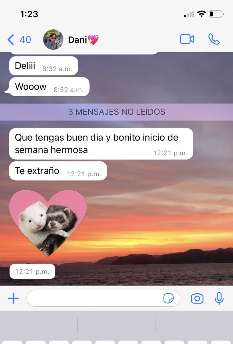 stephanisolisN's tweet photo. Todos necesitan una danisfunkis, no mideeeeees como te extraño💖 https://t.co/AgnSxI0uta