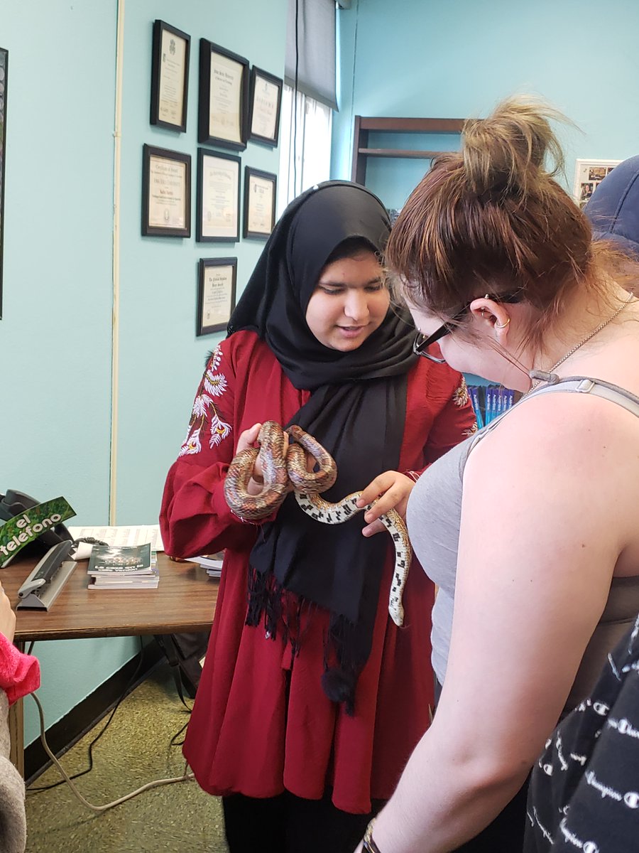srta_bartels's tweet photo. More pics from May Term Animal Ecology. A visit from Ruby the Corn Snake. #IFAMayTerm #IFACadets https://t.co/R17xtEtVB0