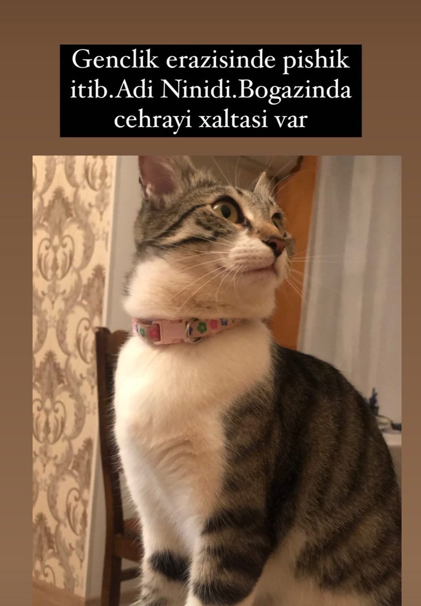 Paylaşın, bəlkə görən olar. #rt