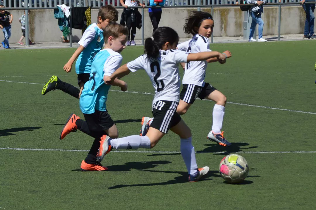 GONALPI SL tweet media