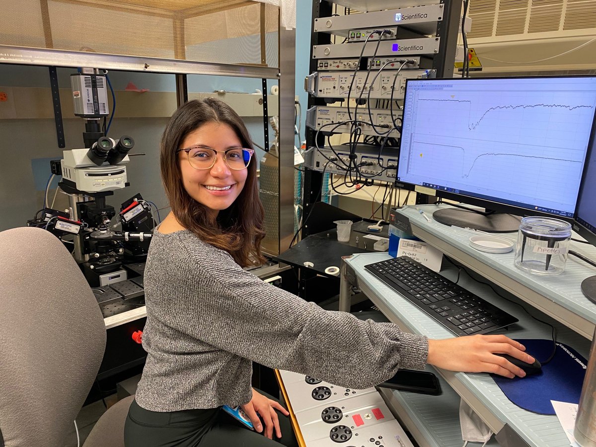 Happiness is a double recording! <a href="/neuronancy_/">Nancy Castro Borjas</a> <a href="/NuinComm/">NUIN</a>  #patchclamp #neuroscience