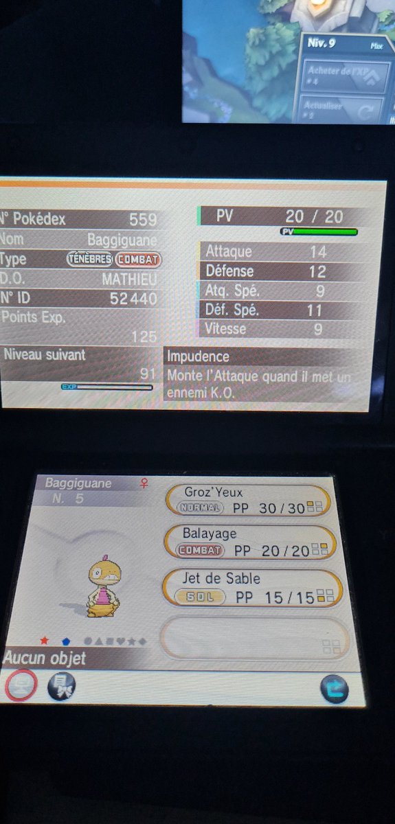 Baggiguane shiny qui tombe enfin après 516 hordes et 4 phases avec au total 960 hordes pour le <a href="/Projet_CSLD/">Community Shiny Living Dex</a>