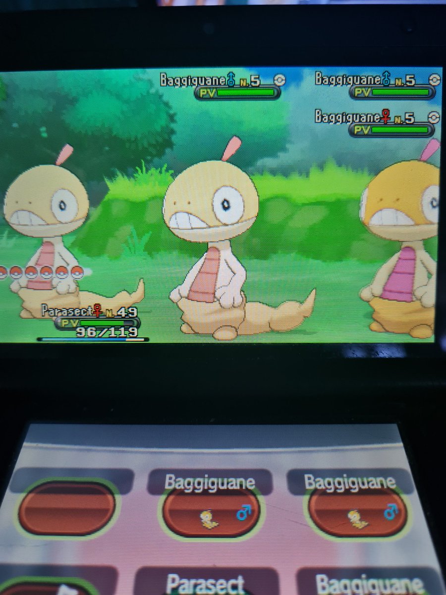 Destro0706's tweet photo. Baggiguane shiny qui tombe enfin après 516 hordes et 4 phases avec au total 960 hordes pour le @Projet_CSLD https://t.co/wBTf58fYcc