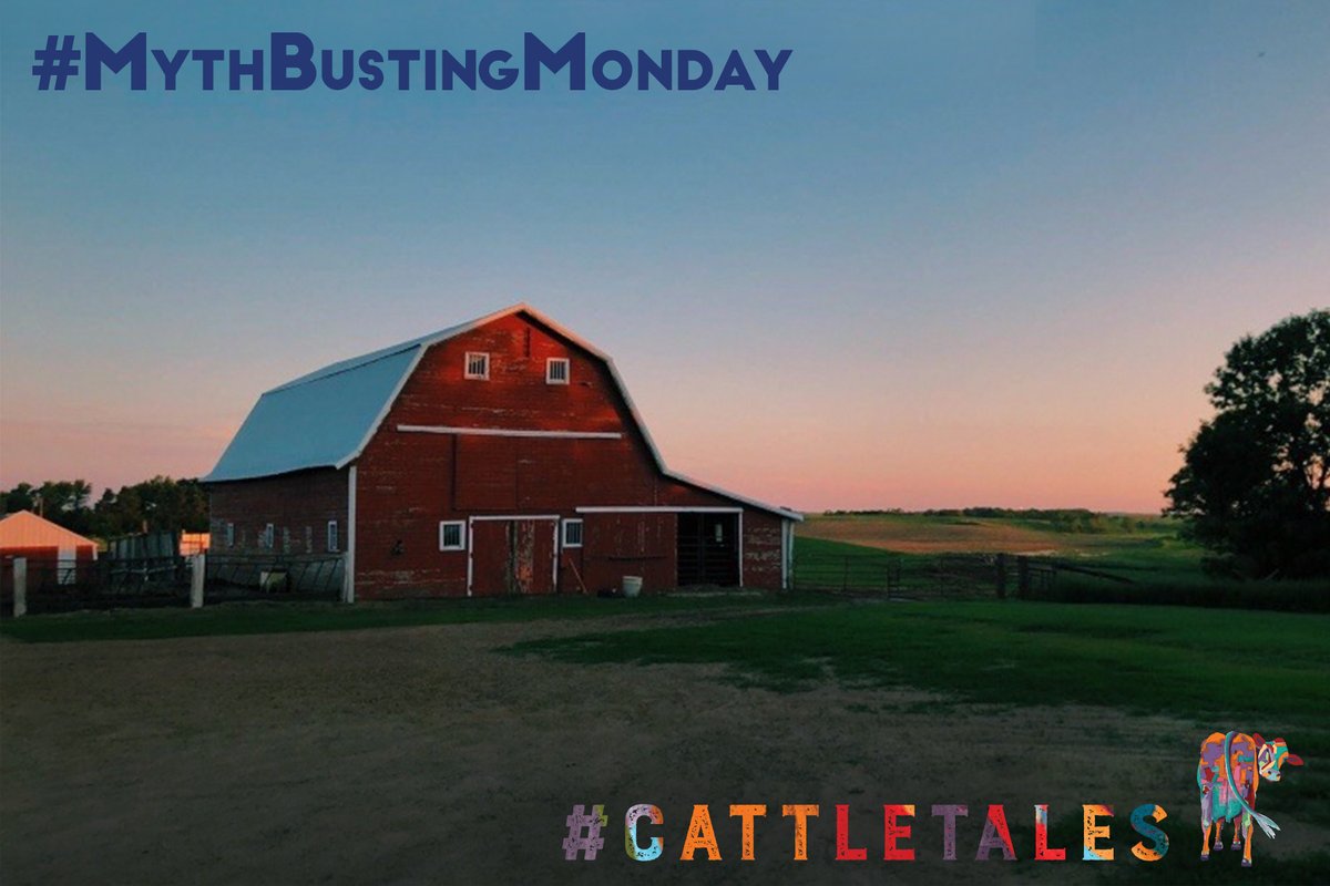 CattleTales's tweet photo. Many consumers think raising cattle degrades the land, but actually, cattle help store carbon in the soil and improve open spaces which provide habitat for wildlife.
๐ธ: Photo received through #CattleTales photo contest. #ThanksCows https://t.co/pibWJoaKmB