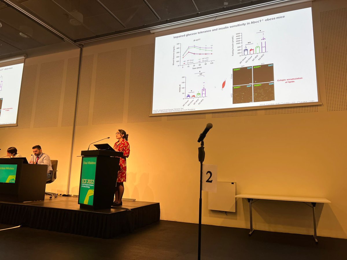 ElisaVillalob0s's tweet photo. Presenting my work on #ABCC1 and #glucosehomeostasis to a real audience!! 😱Was really fun today at #ECE2022 With full 🏠 at #EuropeanHormoneDay 🧪 🩸 🧬 👩🏻‍🔬 https://t.co/DLe8T9ynwP