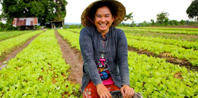 "Stockholm+50 is an opportunity to (...) chart a path towards a healthy planet for all. Gender equality and inclusion must not be left behind."

<a href="/gggi_hq/">GGGI</a>'s <a href="/IngvildSolvang/">Ingvild Solvang</a>, on why #GenderEquality is key to a successful #Stockholm50 🌏

From <a href="/GGKP_Policy/">Green Policy Platform</a>: bit.ly/38511nD