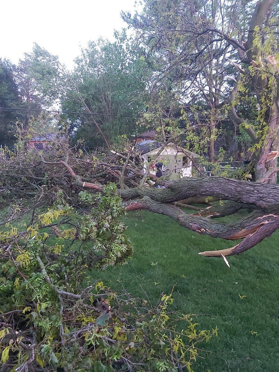 kimDrysdale's tweet photo. Holy crap...this storm owned us...thank God we're all safe! #Ottawastorm #byebyetrees https://t.co/H0p9IfZDGY