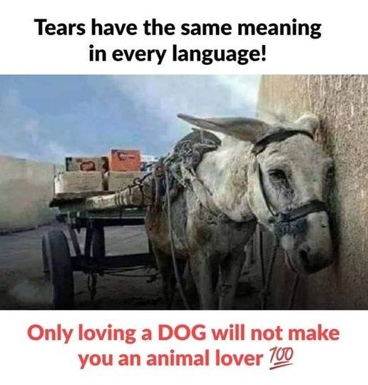 TheViditsharma's tweet photo. So true https://t.co/HUDOQLvBDw