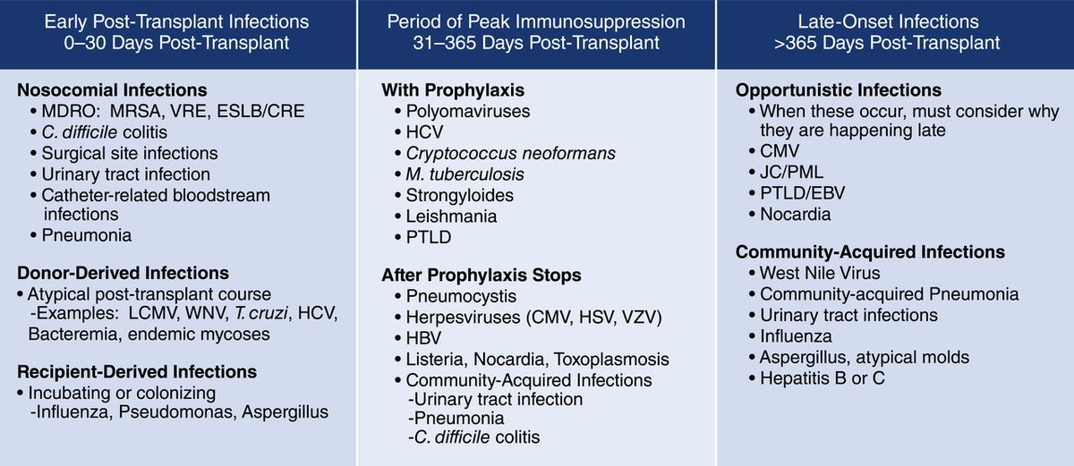 Infections are a common complication of transplantation. This Review summarizes the current epidemiology of postkidney transplant infections, focusing on key viral, bacterial, and fungal infections, as well as guidelines for safe living post-transplant bit.ly/CJN15971020