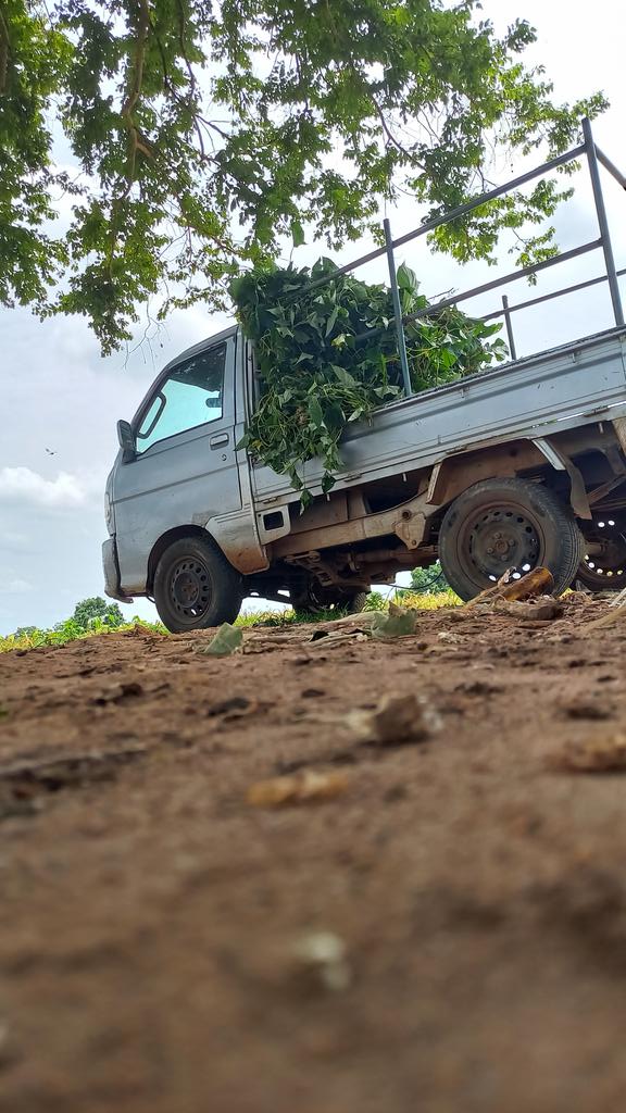 BAKOBABS FARMS tweet media