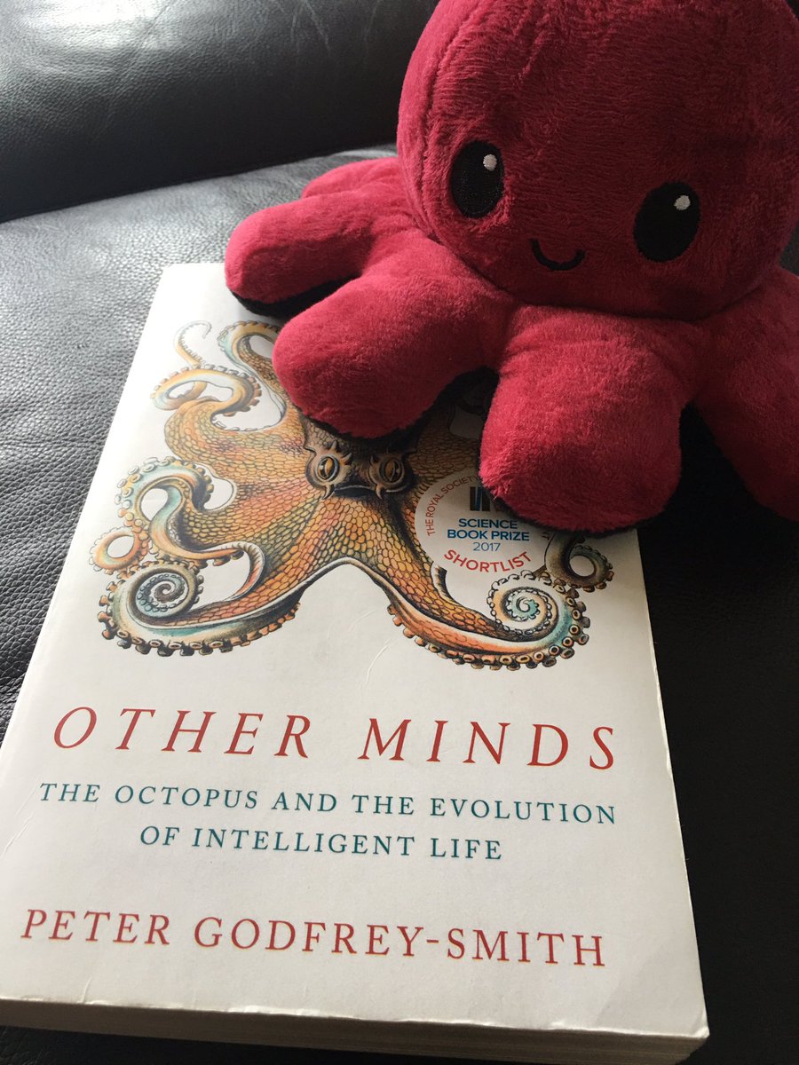 TriniMonteroM's tweet image. Recommended! 👍
Very interesting the idea of independent evolutionary pathways towards intelligence.
- Will never try agan “Pulpo a la Gallega” 🥹❤️ 🐙
By @pgodfreysmith