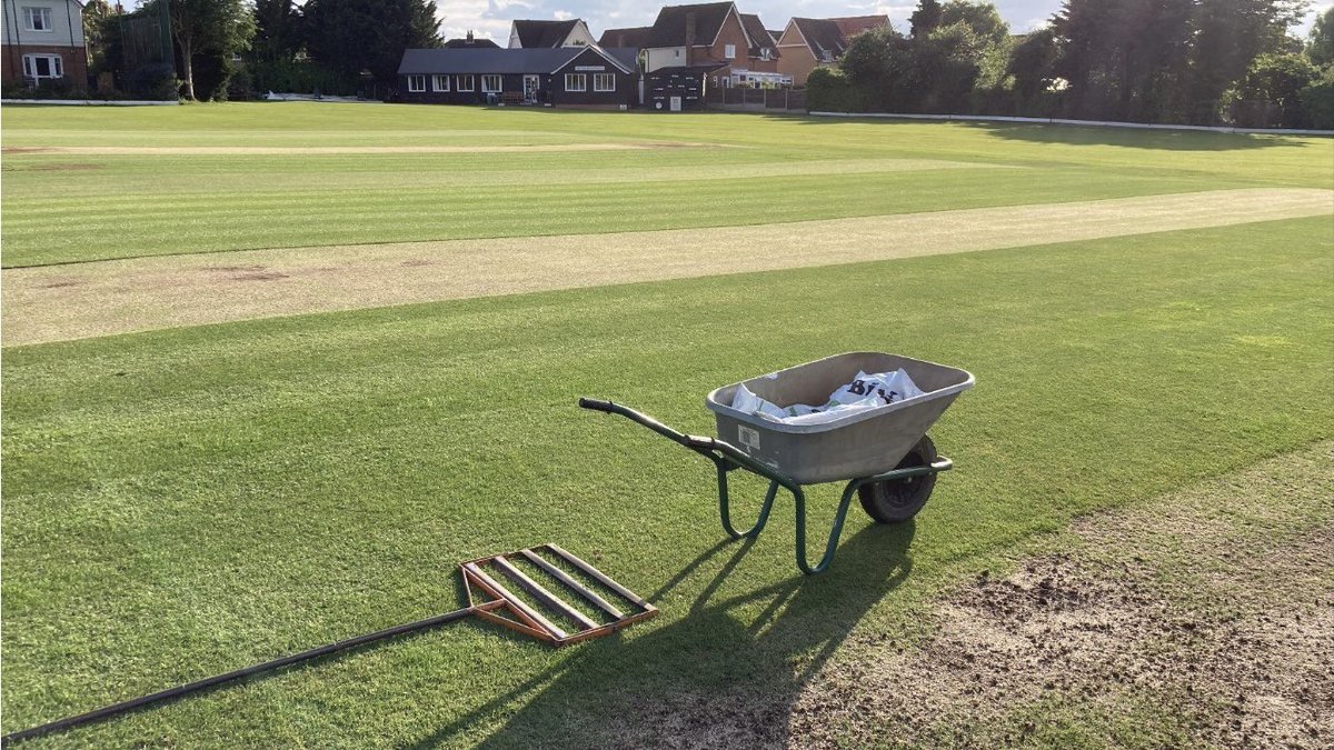 Jamie Foyster tweet media