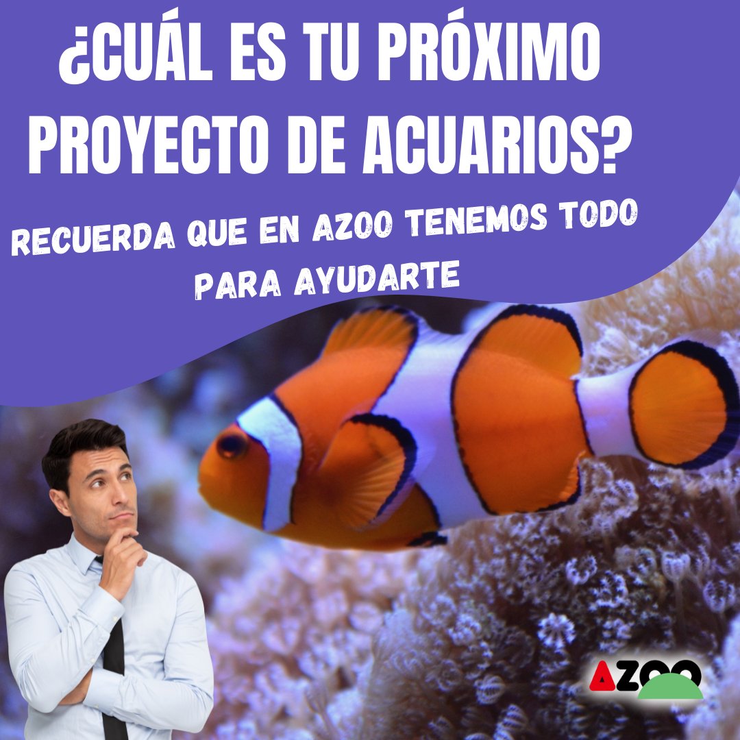 AzooSpain's tweet image. Cuenta con nosotros para tu próximo proyecto, gracias a nuestras bacterias vivas beneficiosas, ¡ciclarás tus acuarios en tiempo record!
Solicita en tu tienda especializada: ULTRA BIOGUARD Y SUPREME BIOGUARD
#azoo #supremebioguard #aquascaping #pecesdeacuario
