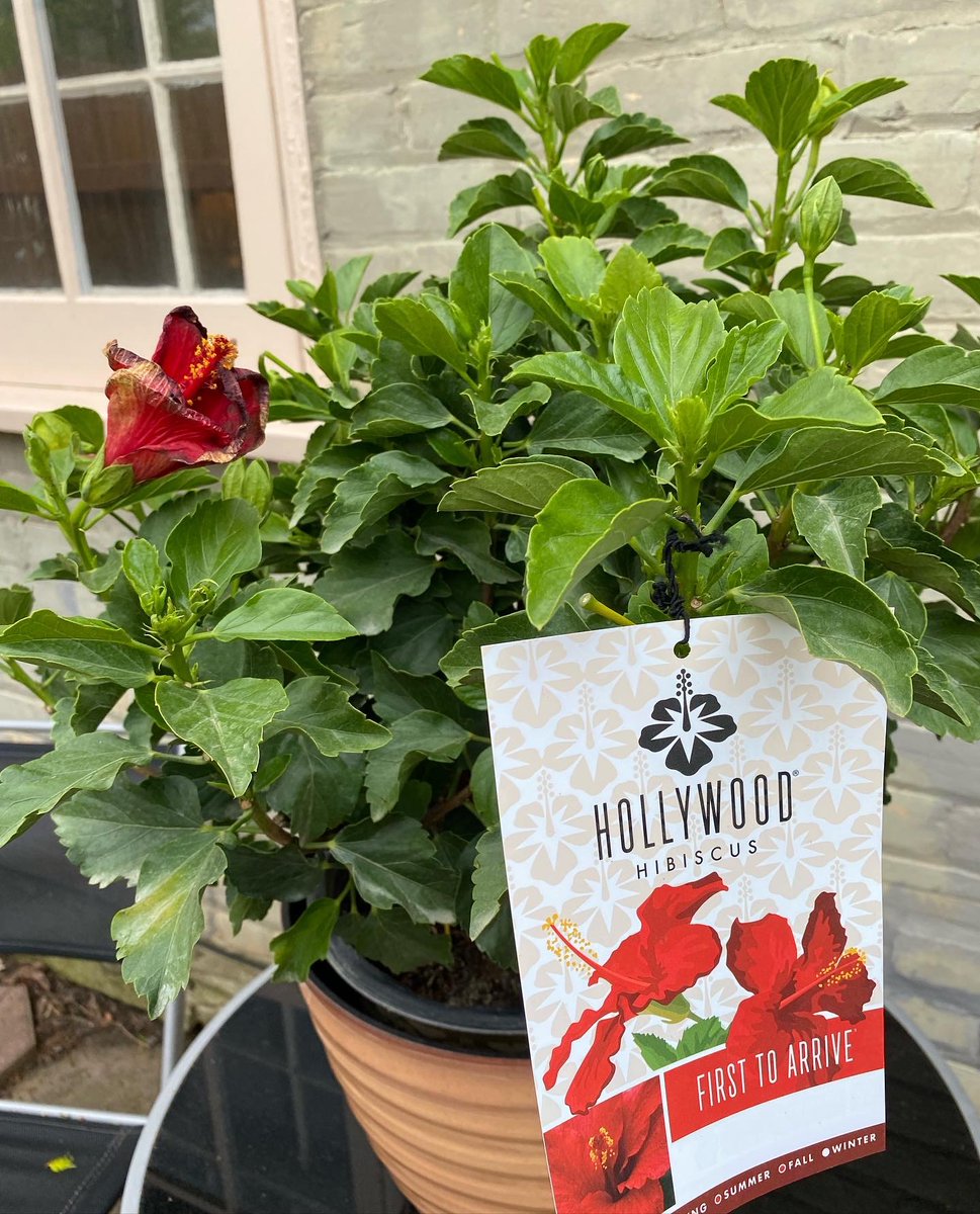 TheIrishHouseCA's tweet image. Summer2022 #houseguests #firsttoarrive @TheIrishHouseCA #handwrittennote about their long weekend experience