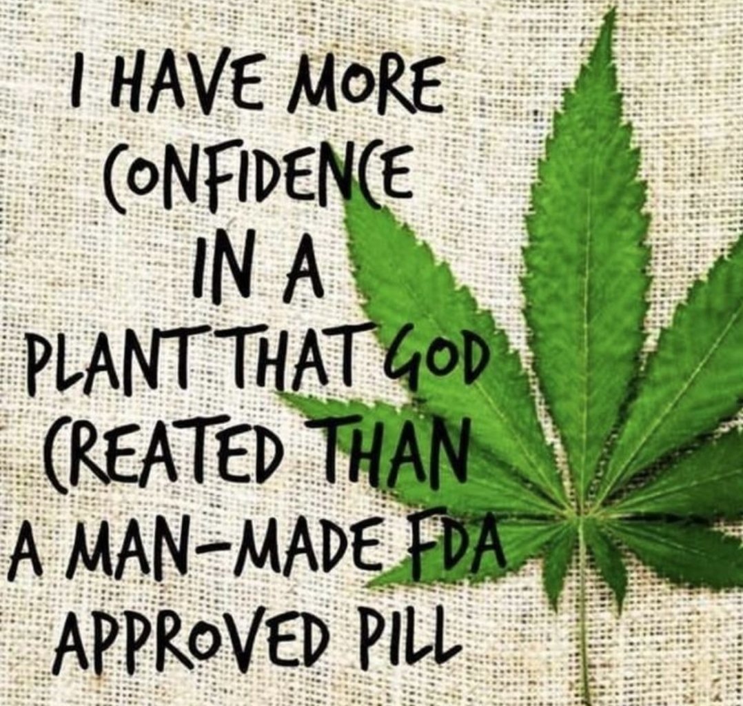 SweetPea_322's tweet photo. It's time to re-evaluate. I've smoked cannabis for almost 16 yrs. I have never done hard drugs. Marijuana is a plant that God provided to us, the uses are endless... why the hell is it still illegal? They make $$ by it being illegal, AND its actually beneficial,  that's why. 💯🌱 https://t.co/aneYBydRWk