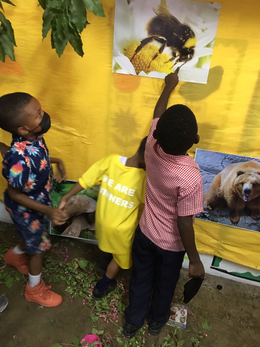 Wilbert Stewart Basic tweet media