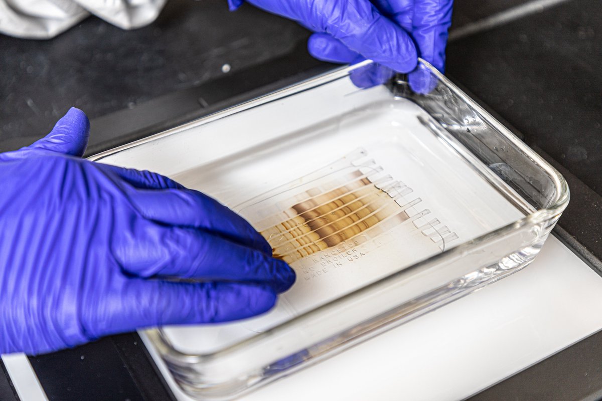 UF Scripps Scientists to Receive $15 Million to Help Fight Current and Future Pandemics scripps.ufl.edu/2022/05/23/uf-…