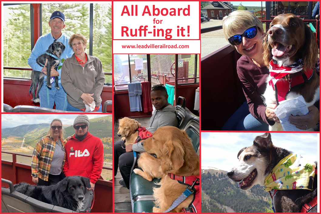 Leadville Railroad (@leadvillerr) on Twitter photo Your #furryfriends are welcome on the <a href="/LeadvilleRR/">Leadville Railroad</a> #dogs are allowed as long as they are friendly, & you sign our dog liability waiver. #allaboard for your #bestfriends 🚂🐶<a href="/PetonVacation/">Pet on Vacation</a> <a href="/DogFriendlyCom/">DogFriendly.com</a> @DogFriendlyTrav <a href="/dogfriendlyinfo/">DogFriendly</a> Your #furryfriends are welcome on the <a href="/LeadvilleRR/">Leadville Railroad</a> #dogs are allowed as long as they are friendly, & you sign our dog liability waiver. #allaboard for your #bestfriends 🚂🐶<a href="/PetonVacation/">Pet on Vacation</a> <a href="/DogFriendlyCom/">DogFriendly.com</a> @DogFriendlyTrav <a href="/dogfriendlyinfo/">DogFriendly</a>
