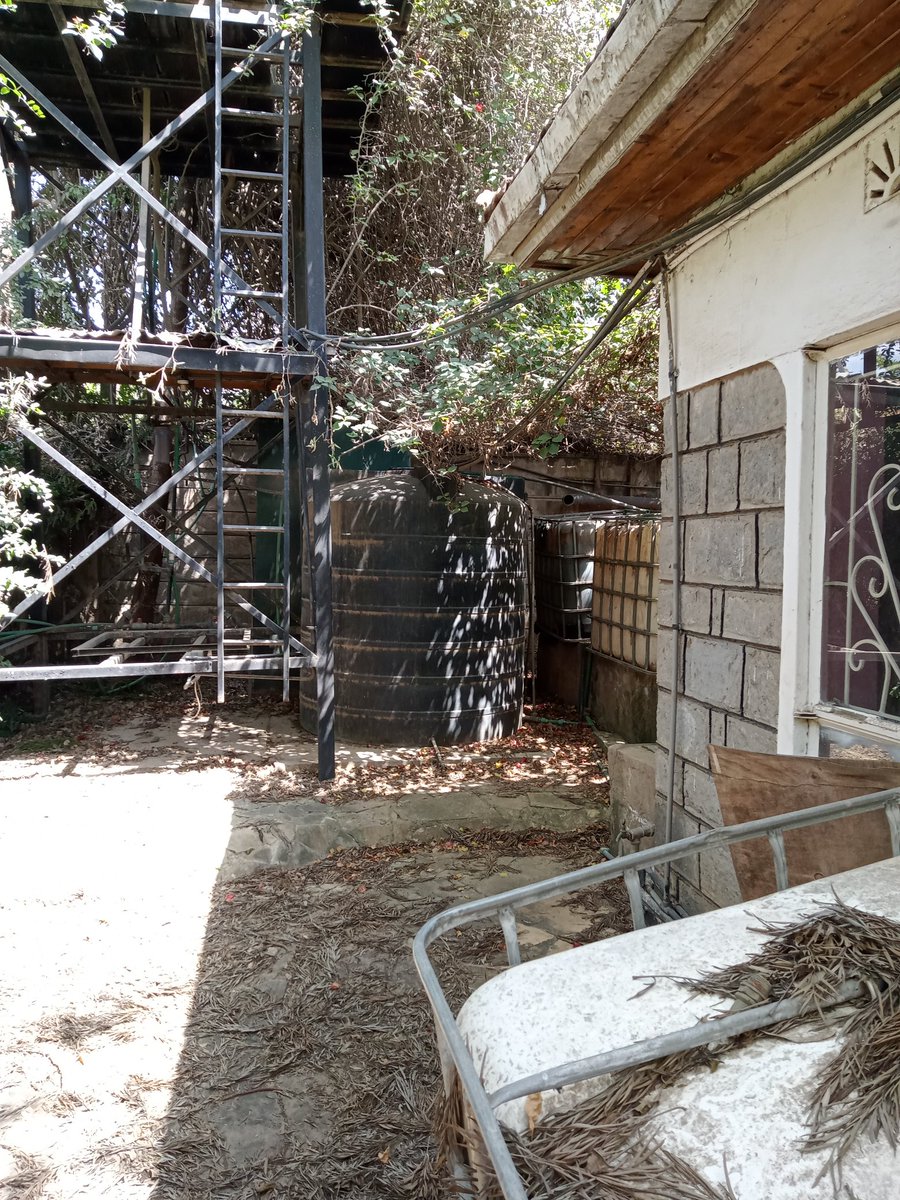 SheikhGlen's tweet photo. A four bedroom mansionate is on sale at Athi River, opposite Shalom Hospital (Portland/seniors Estate). Sits on half an acre piece of land, a garage that can accommodate 3 cars at once, two separate store structures, a self contained SQ, a chicken Hse and tanks with 18,000 1/2 l https://t.co/u2ogKuyI8Q