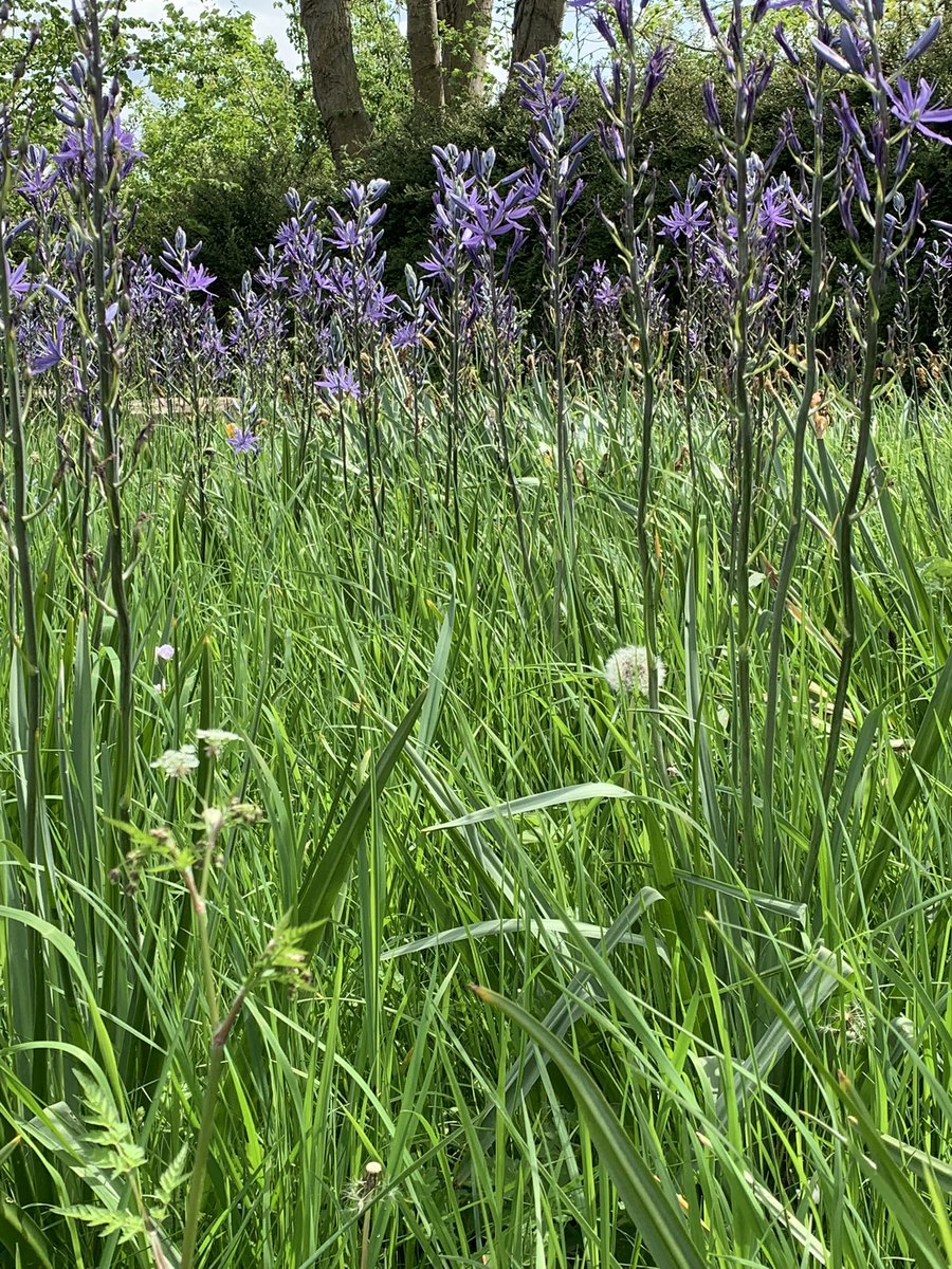 Joanne Myram tweet media