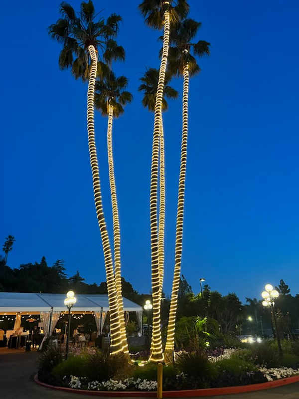 Executive Director Jim Tibbs had the honor of attending the Berkeley Public Library Foundation’s 19th Annual Authors Dinner on 5/21 where Berkeley Symphony was recognized for our role in creating Reading Is Instrumental with the Berkeley Public Library. #berkeleysymphony