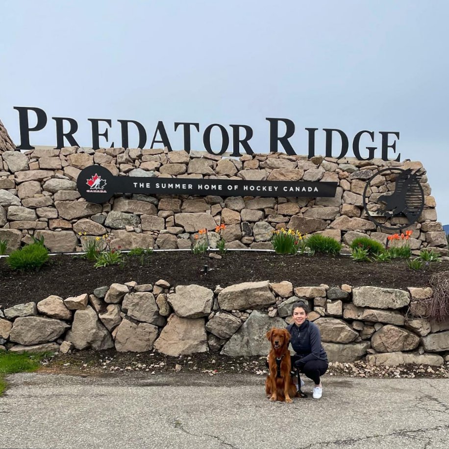 predatorridge's tweet photo. #PetsAtPred - Tiller and his owner were visiting this week from Vancouver! 

📸: @life_of_tiller https://t.co/uzXqqoEKRj
