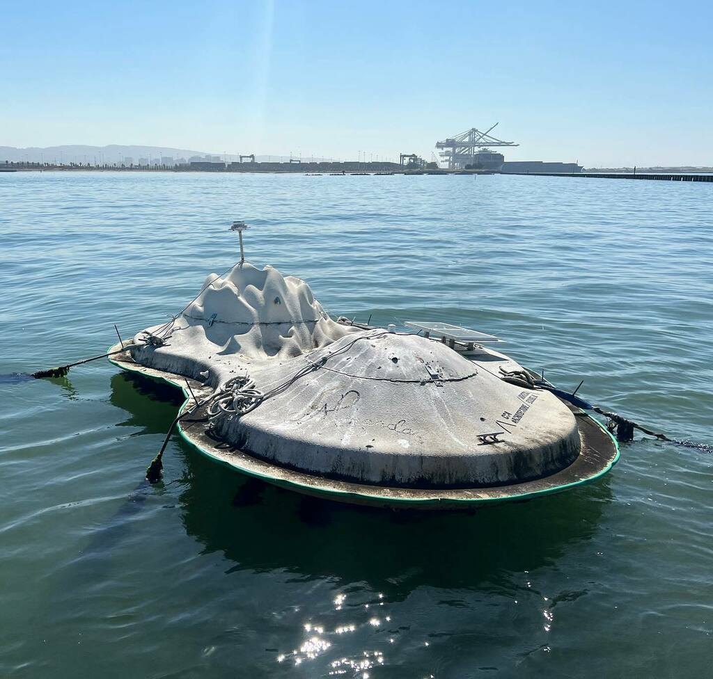 radadammarcus's tweet photo. Terrific visit to the #BuoyantEcologies #FloatLab today with @architecturalecologieslab comrades Margaret Ikeda and Evan Jones. This experimental floating island is thriving after 33 months in San Francisco Bay collecting data and providing homes for all… https://t.co/a7sqokrvHc https://t.co/gIMA9jRuZv